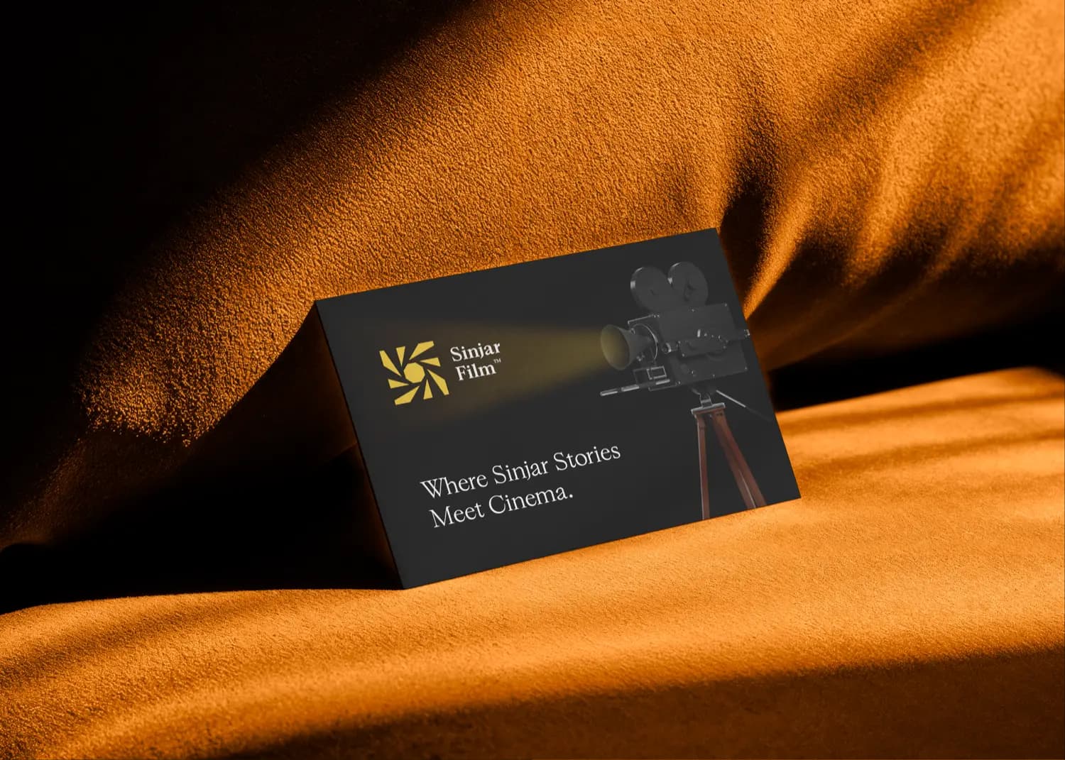 Portfolio image 3